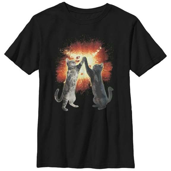 Boy's Lost Gods Cat High Five Explosion Graphic Tee Black Medium