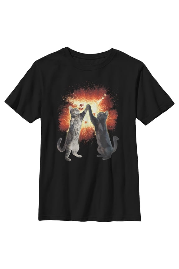 Boy's Lost Gods Cat High Five Explosion Graphic Tee Black Medium