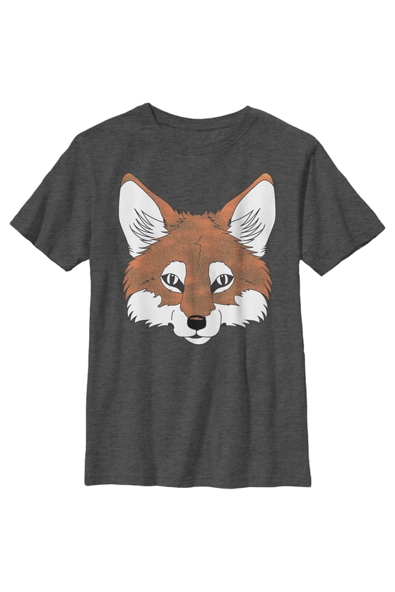 Boy's Lost Gods Fantastic Fox Face Graphic Tee Charcoal Heather Large