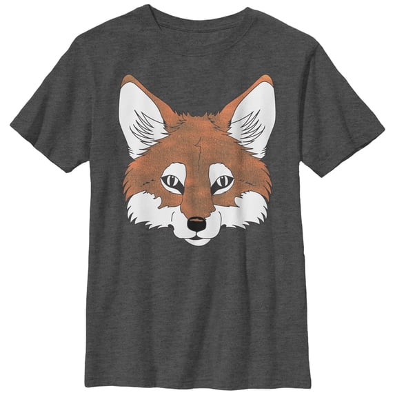 Boy's Lost Gods Fantastic Fox Face Graphic Tee Charcoal Heather X Large