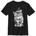 thumbnail image 1 of Boy's Lost Gods Halloween Witch Kitten  Graphic Tee Black Large, 1 of 4