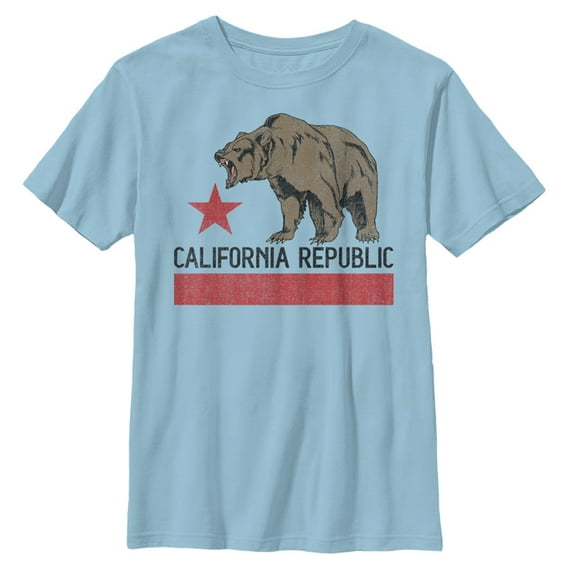 Boy's Lost Gods Hungry California Republic Bear Graphic Tee Light Blue Medium