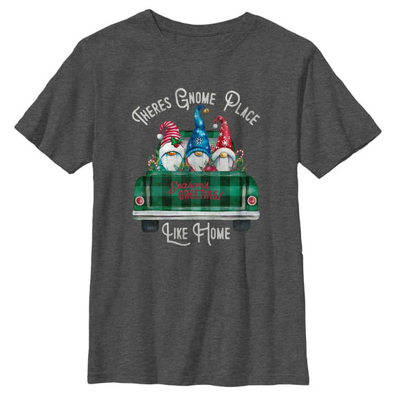 Boy's Lost Gods Season's Greetings Gnomes Graphic Tee Charcoal Heather Small