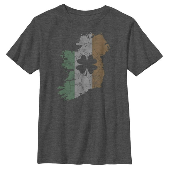 Boy's Lost Gods St. Patrick's Day Ireland The Emerald Isle Graphic Tee Charcoal Heather Large