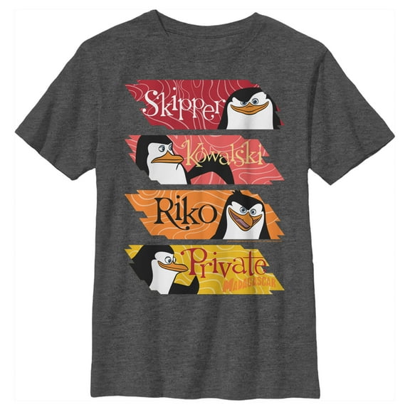 Boy's Madagascar Penguin Panels Graphic Tee Charcoal Heather Medium