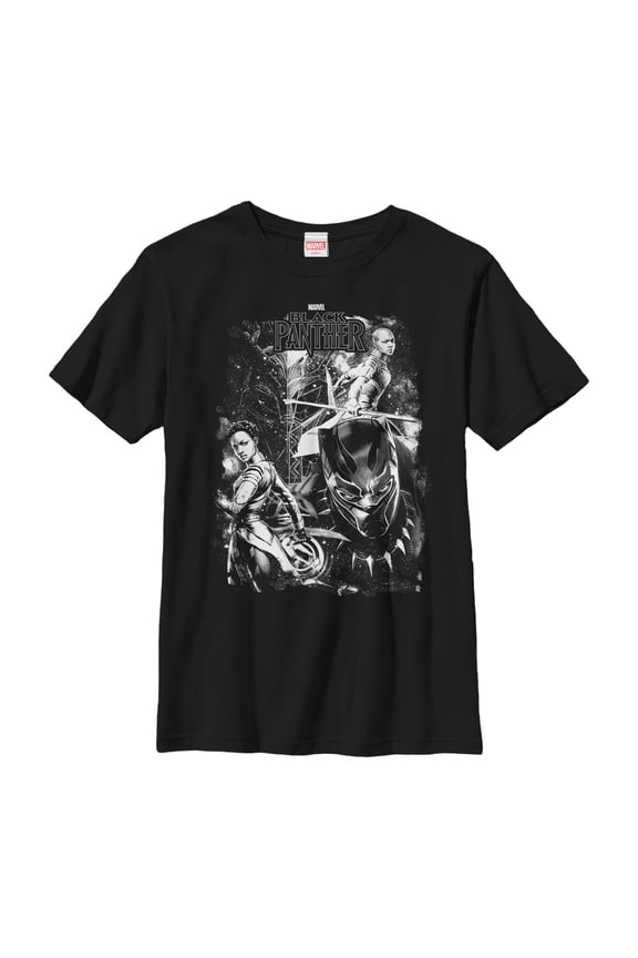 Boy's Marvel Black Panther 2018 Starry Characters Graphic Tee Black X Small