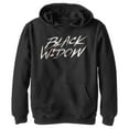 thumbnail image 1 of Boy's Marvel Black Widow Chalk Logo  Pull Over Hoodie Black X Large, 1 of 3