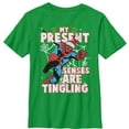 thumbnail image 1 of Boy's Marvel Christmas Spider-Man Senses  Graphic Tee Kelly Green Medium, 1 of 3