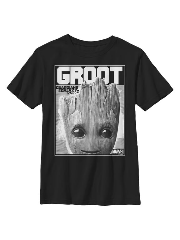 Boy's Marvel Guardians of the Galaxy Vol. 2 Baby Groot Close-Up Graphic Tee Black X Small
