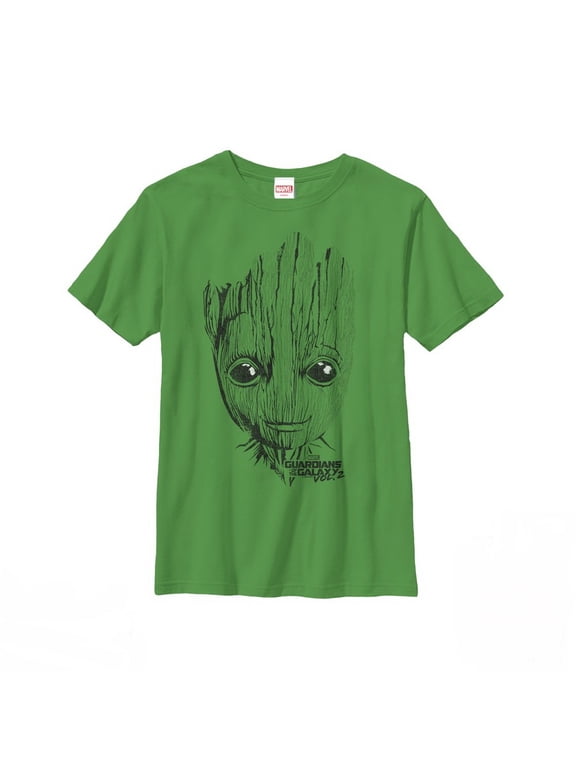 Boy's Marvel Guardians of the Galaxy Vol. 2 Groot Face Graphic Tee Kelly Green Small