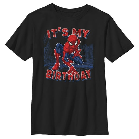 Boy's Marvel It's My Spider-Birthday  Graphic Tee Black Medium