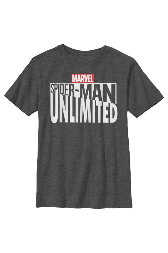 Boy's Marvel Spider-Man Unlimited Logo  Graphic Tee Charcoal Heather Large