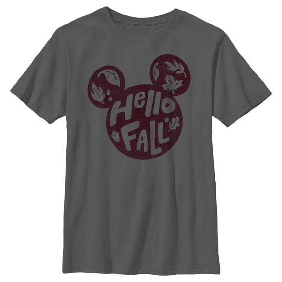 Boy's Mickey & Friends Mickey and Friends Hello Fall Graphic Tee Charcoal Small