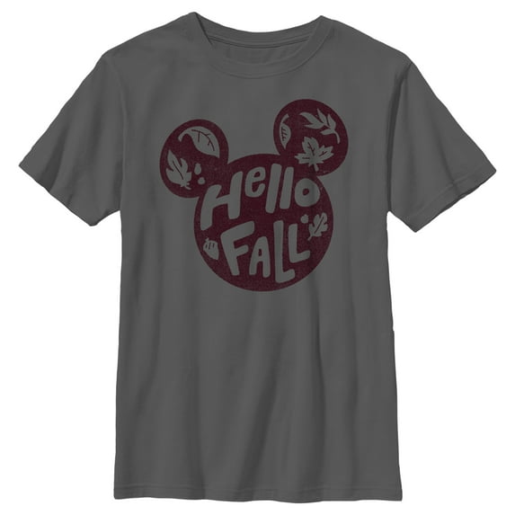 Boy's Mickey & Friends Mickey and Friends Hello Fall Graphic Tee Charcoal X Small