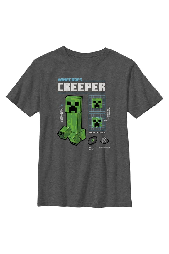 Boy's Minecraft Creeper Graph Graphic Tee Charcoal Heather Medium