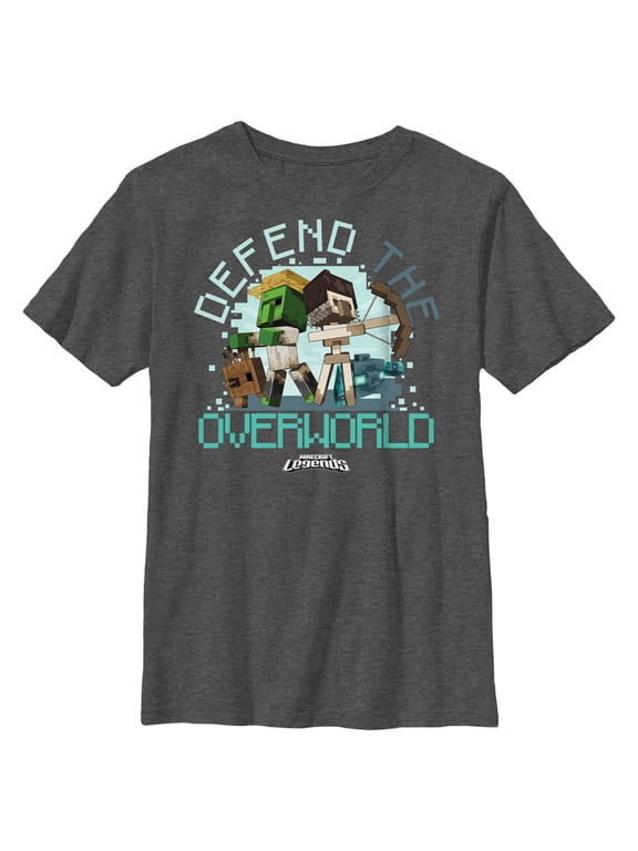 Boy's Minecraft Legends Defend the Overworld Graphic Tee Charcoal Heather X Large