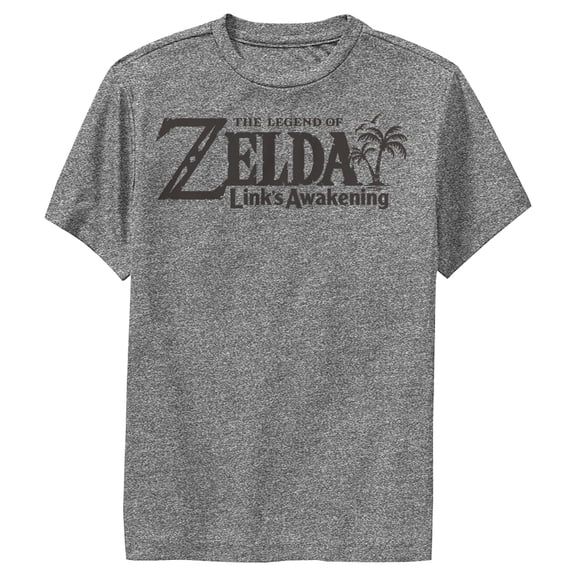 Boy's Nintendo Legend of Zelda Link's Awakening Switch Logo  Performance Graphic Tee Charcoal Heather X Large