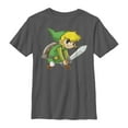 thumbnail image 1 of Boy's Nintendo Legend of Zelda Spirit Tracks Link  Graphic Tee Charcoal Small, 1 of 4