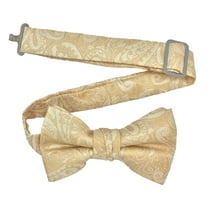 Boy’s Paisley Champagne Formal Satin Pre-Tied Bow Tie in a Variety of Colors by Spencer J’s Signature Satin Collection