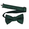 thumbnail image 1 of Boy’s Paisley Emerald Formal Satin Pre-Tied Bow Tie by Spencer J’s Signature Satin Collection, 1 of 4