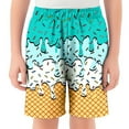 thumbnail image 1 of Boy's Pants Lightweight Printed Casual Shorts Elastic Waist Pockets Play Bottoms, 1 of 3