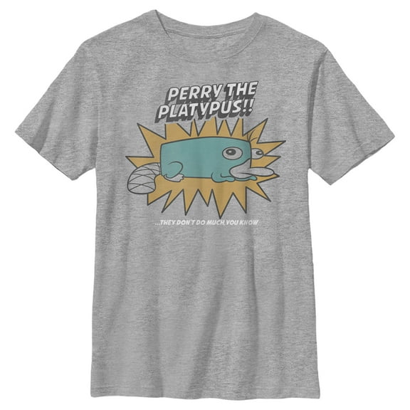 Boy's Phineas & Ferb Phineas and Ferb Perry Doesn't Do Much Graphic Tee Athletic Heather Large