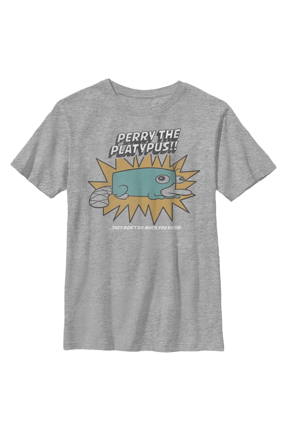 Boy's Phineas & Ferb Phineas and Ferb Perry Doesn't Do Much Graphic Tee Athletic Heather X Large