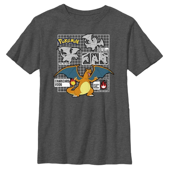 Boy's Pokemon Charizard Info Grid  Graphic Tee Charcoal Heather Large