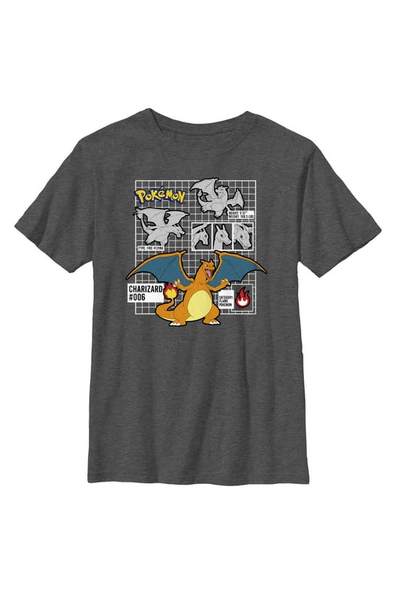 Boy's Pokemon Charizard Info Grid  Graphic Tee Charcoal Heather Medium