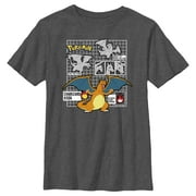 Boy's Pokemon Charizard Info Grid Graphic Tee Charcoal Heather Small