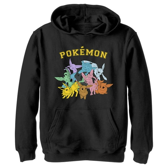 Boy's Pokemon Eeveelutions Pull Over Hoodie Black X Large