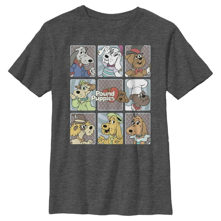 Boy's Pound Puppies Character Box Graphic Tee Charcoal Heather