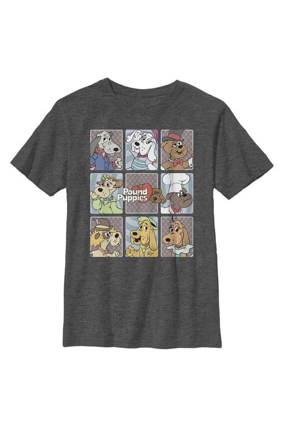 Boy's Pound Puppies Character Box  Graphic Tee Charcoal Heather Small