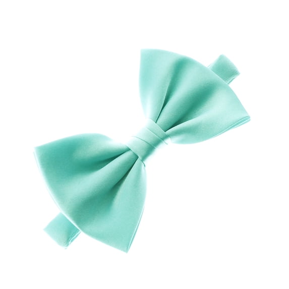 Boy's Satin Adjustable Pre-Tied Bow Tie - Aqua