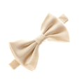 thumbnail image 1 of Boy's Satin Adjustable Pre-Tied Bow Tie - Latte, 1 of 6
