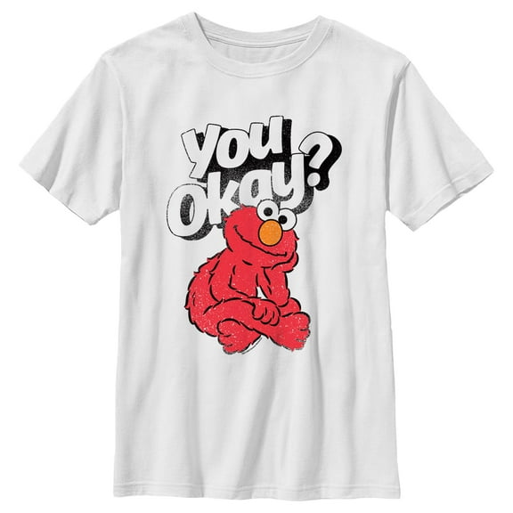 Boy's Sesame Street You Okay?  Graphic T-Shirt