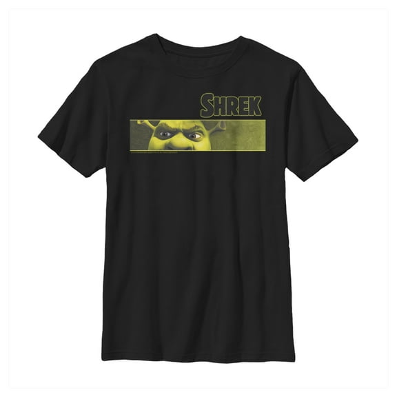 Boy's Shrek Banner Eye Focus  Graphic Tee Black X Large
