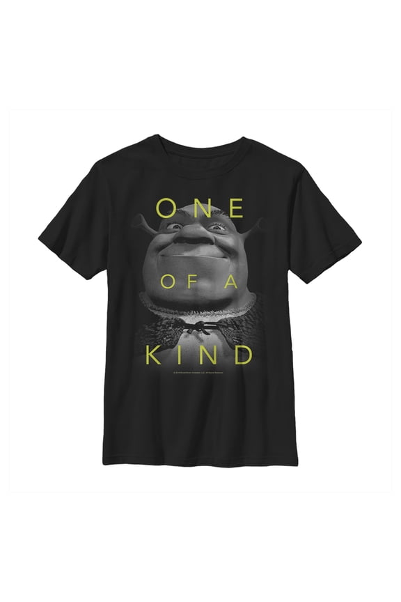 Boy's Shrek One of a Kind Graphic Tee Black X Small