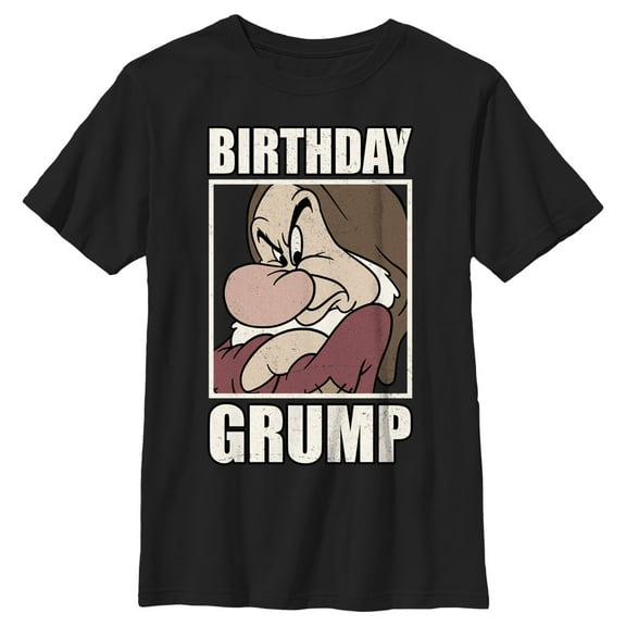 Boy's Snow White and the Seven Dwarfs Birthday Grump Graphic Tee Black X Small