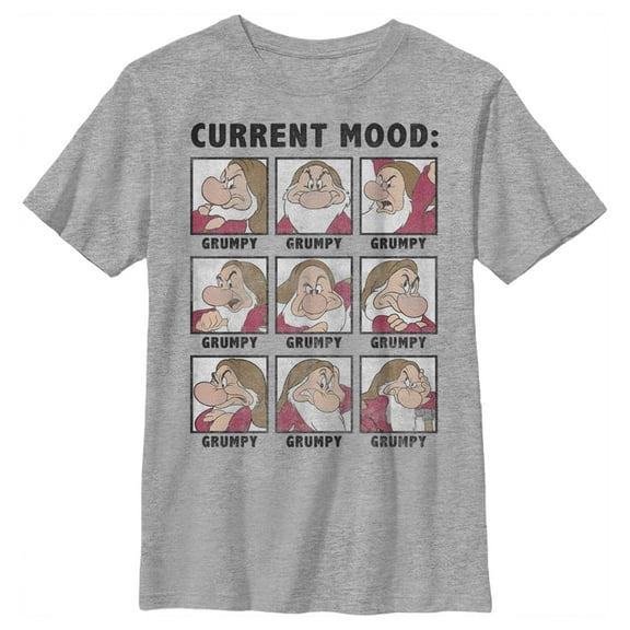 Boy's Snow White and the Seven Dwarfs Grumpy Current Mood Graphic Tee Athletic Heather Small