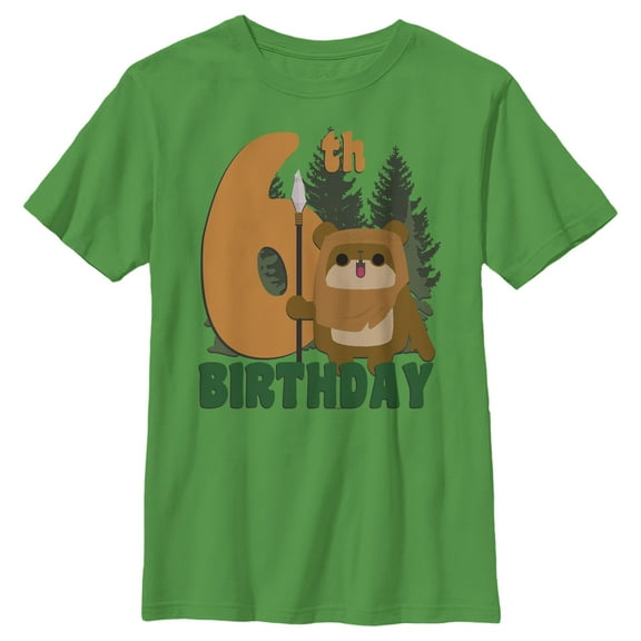 Boy's Star Wars Ewok 6th Birthday  Graphic T-Shirt