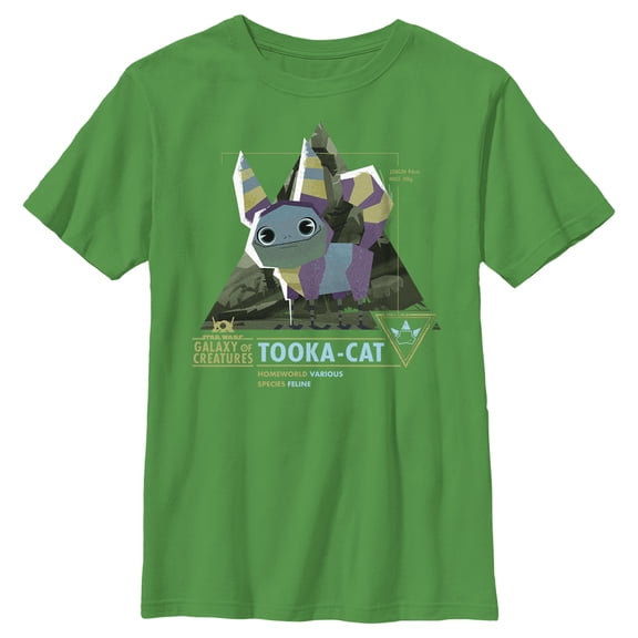 Boy's Star Wars: Galaxy of Creatures Tooka Species  Graphic Tee Kelly Green Large