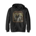 thumbnail image 1 of Boy's Star Wars The Last Jedi Porgs Frame Pull Over Hoodie Black Small, 1 of 3