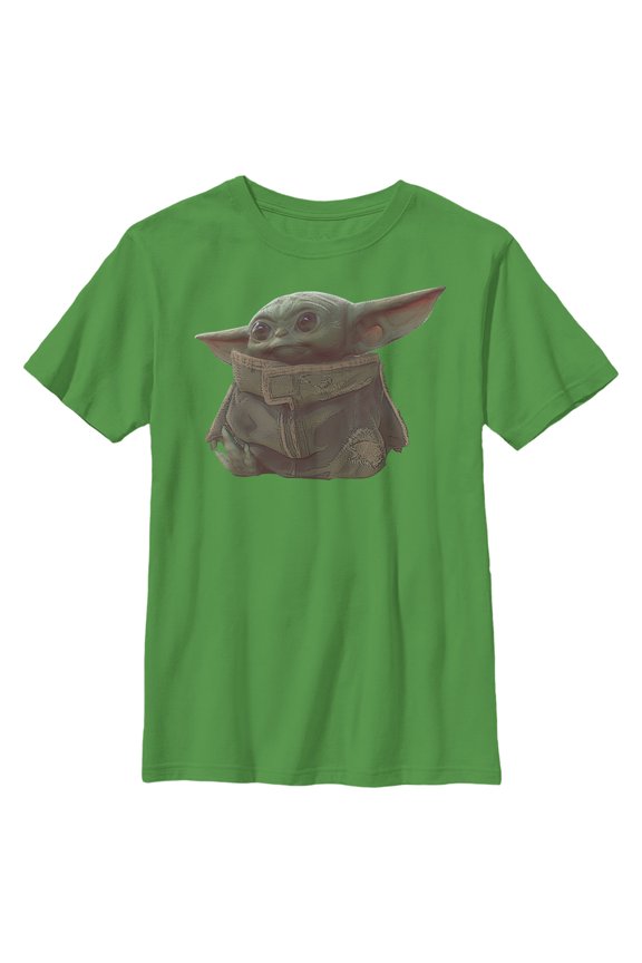 Boy's Star Wars: The Mandalorian The Child Portrait Graphic Tee Kelly Green Medium