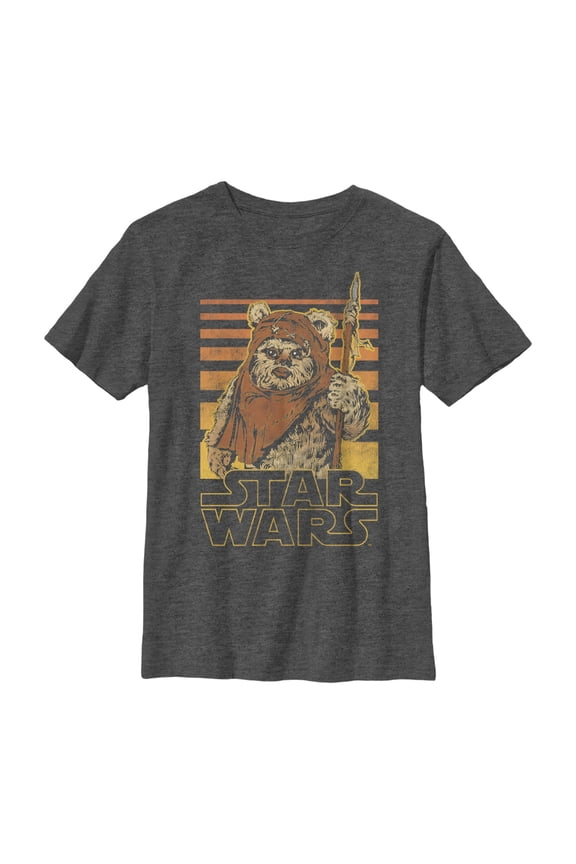 Boy's Star Wars Wicket Ewok Stripes Graphic Tee Charcoal Heather Small