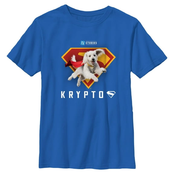 Boy's Superman Krypto Red and Orange Logo Graphic T-Shirt