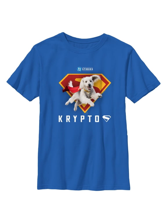 Boy's Superman Krypto Red and Orange Logo Graphic T-Shirt
