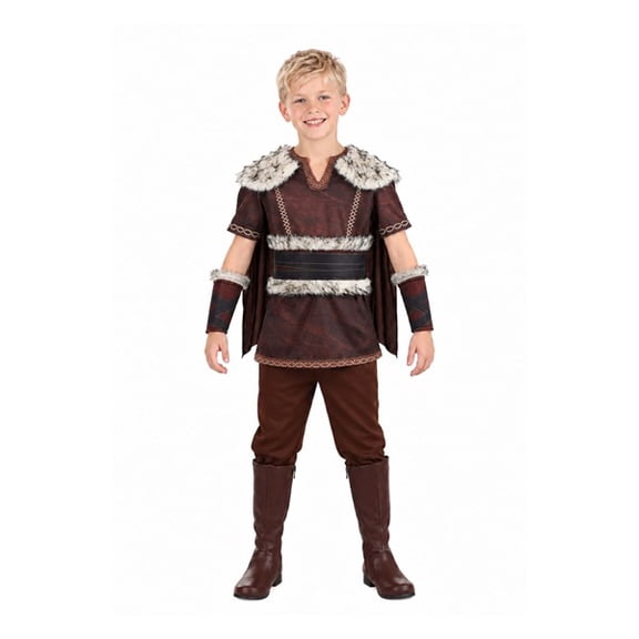 Victorious Viking Boy's Costume