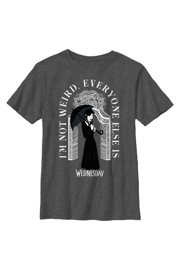 Boy's Wednesday I'm Not Weird, Everyone Else Is Graphic Tee Charcoal Heather Large