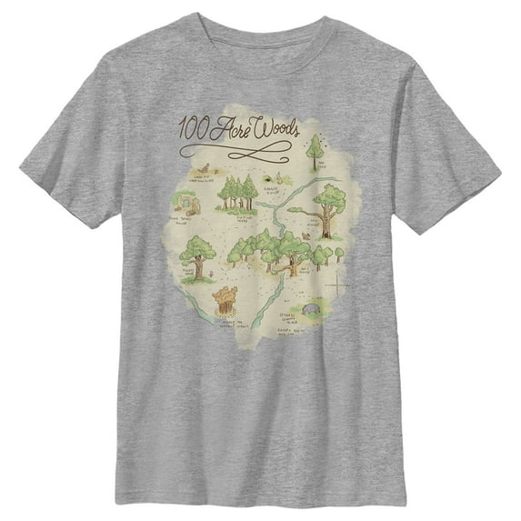 Boy's Winnie the Pooh 100 Acre Woods Map Graphic Tee Athletic Heather Small